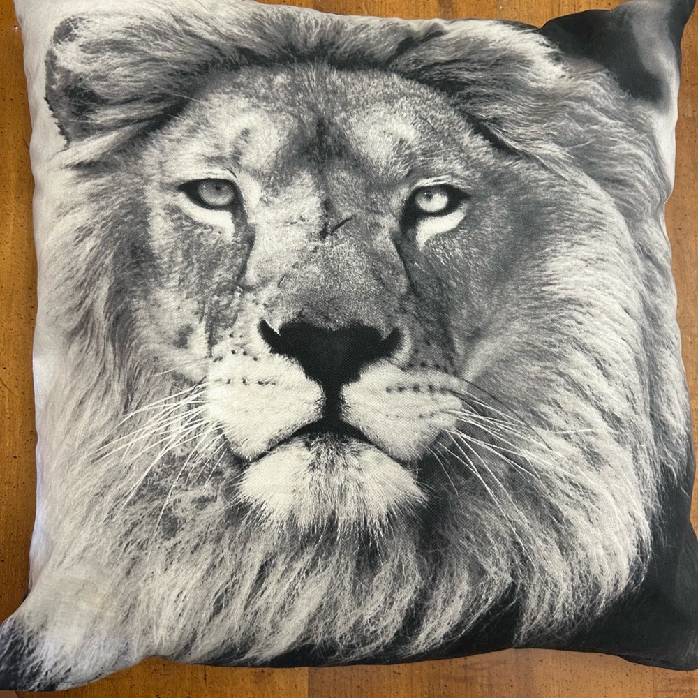 IKEA URSKOG Throw Pillow